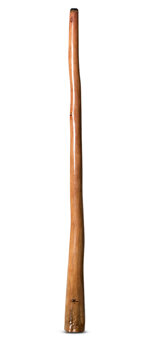 Tristan O'Meara Didgeridoo (TM282)